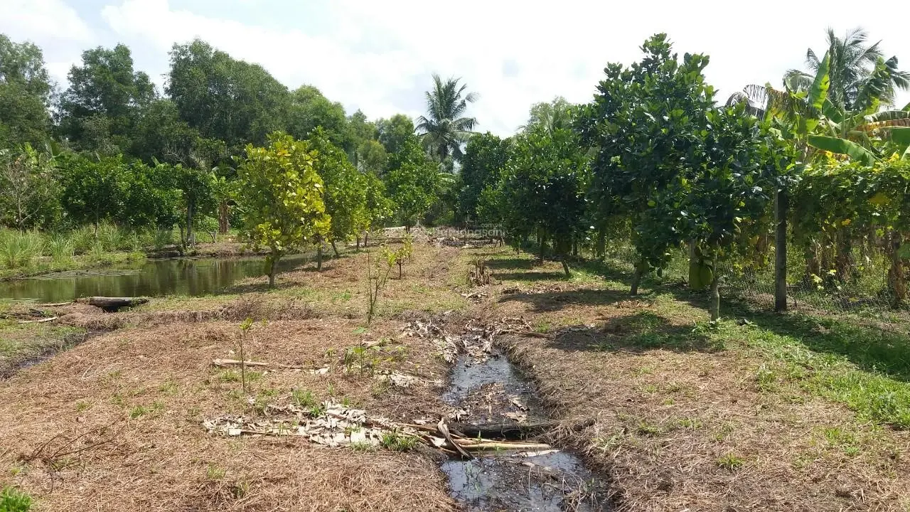 Tôi Chính Chủ Cần Bán Gấp 2 Lô Đất 1000m2/1,39 Tỷ đg Xe Hơi ở Thạnh Đức và 1022m2/690Tr ở Bình Đức