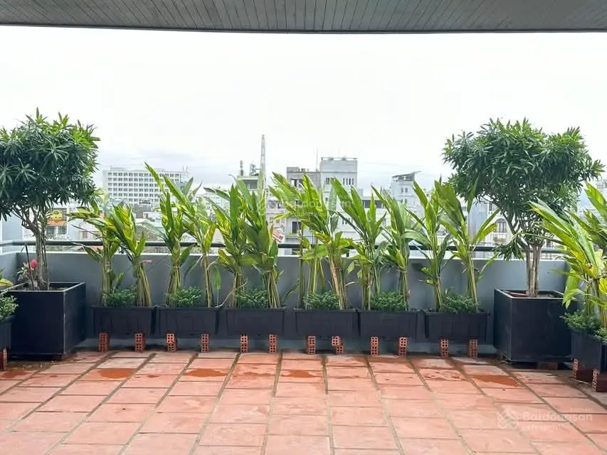 Bán tòa căn hộ 5 tầng Khuê Mỹ Đông, An Thượng. Doanh thu 60 triệu tháng. Vị trí dồi dào khách thuê