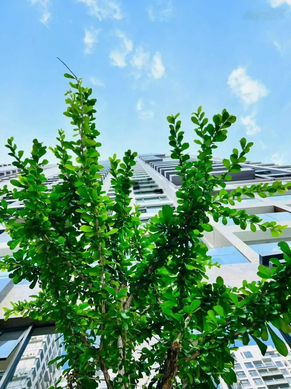 Cập nhật giỏ hàng T8/2024 Lumiere Boulevard KĐT Vinhomes Grand Park Q9