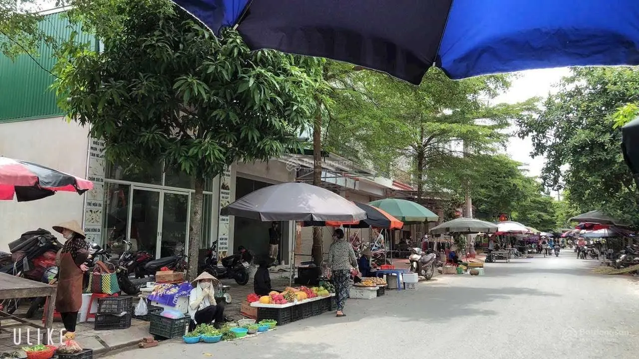 Chính chủ em bán đất đẹp đối diện cổng trường cấp 1 tại Vườn Sen Từ Sơn LH 0326 569 ***