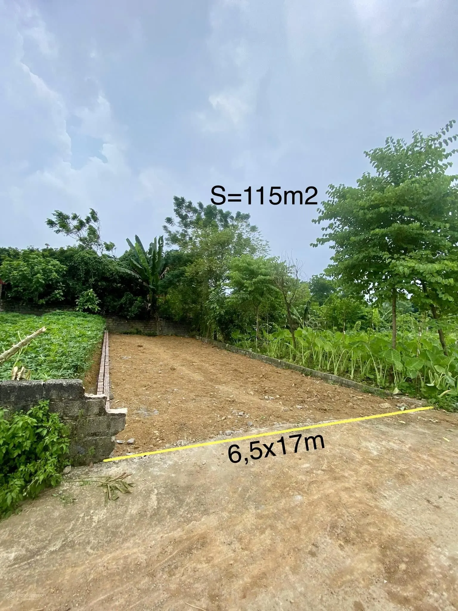 Cần bán hoa hậu 115,6m2 (6,5 x 18m) đất vuông vắn - bằng phẳng - Sẵn sổ hồng - Giá đầu tư