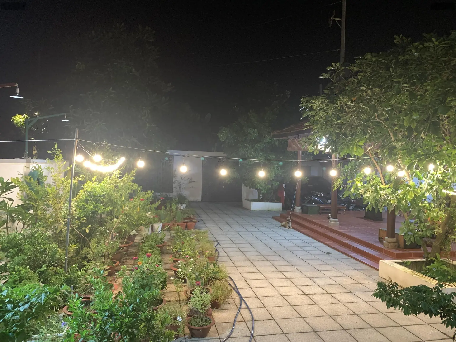 Bán căn biệt thự nhà vườn vô cùng tâm huyết của chủ nhà, không gian sống đẳng cấp