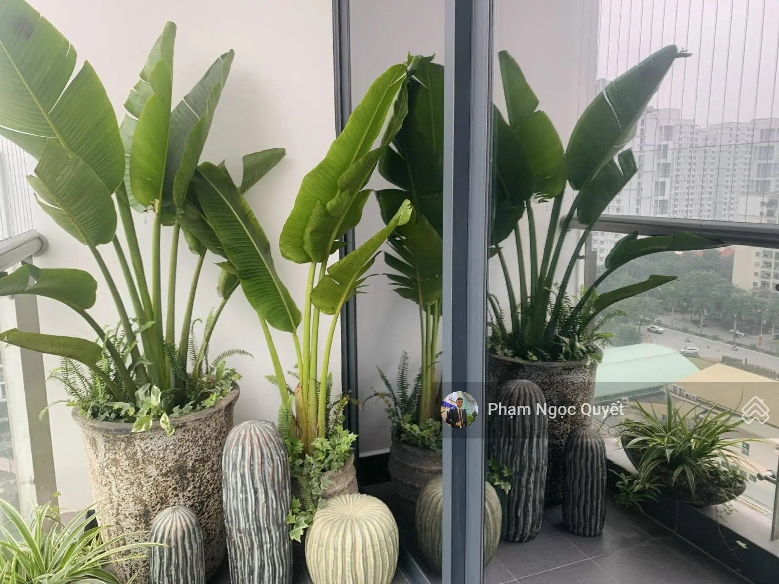 (Giá thật) chính chủ bán 102m2, 3PN full kính BC Đông Nam + tầng trung giá 6.8 tỷ CC GoldSeason