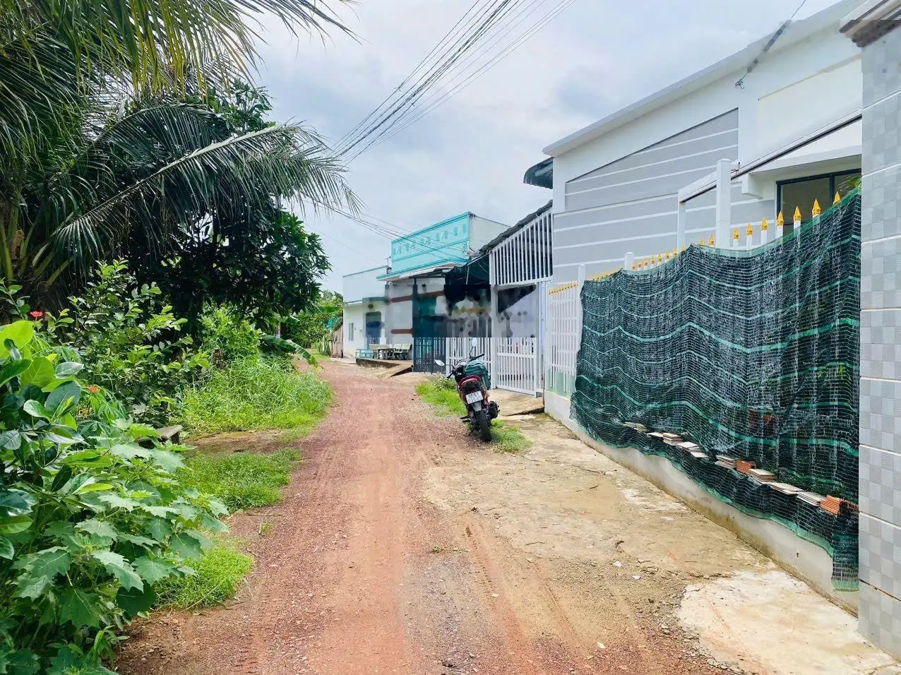 Bán nhà cấp 4 đường đê Mồng Gà tt Cần Giuộc