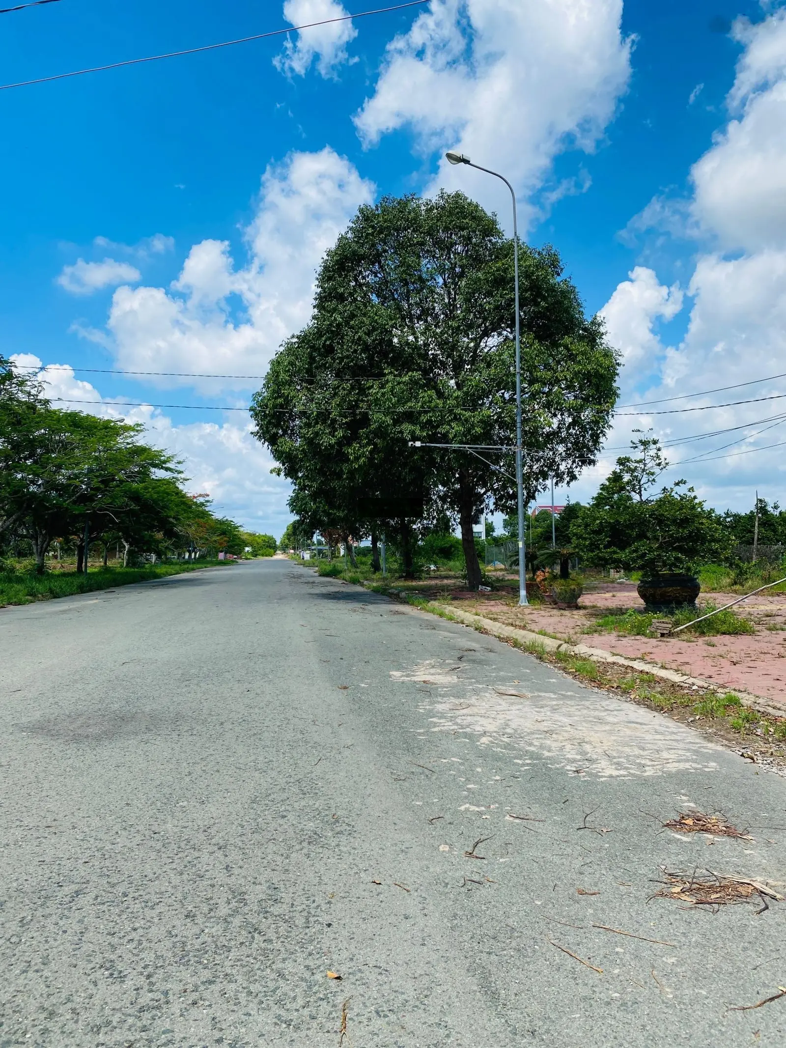 Cần bán nhanh lô đất mặt đường 35m(D1)125m2 trong dự án HUD, gần ngã 4 Lê Hồng Phong(53m) & D1(35m)