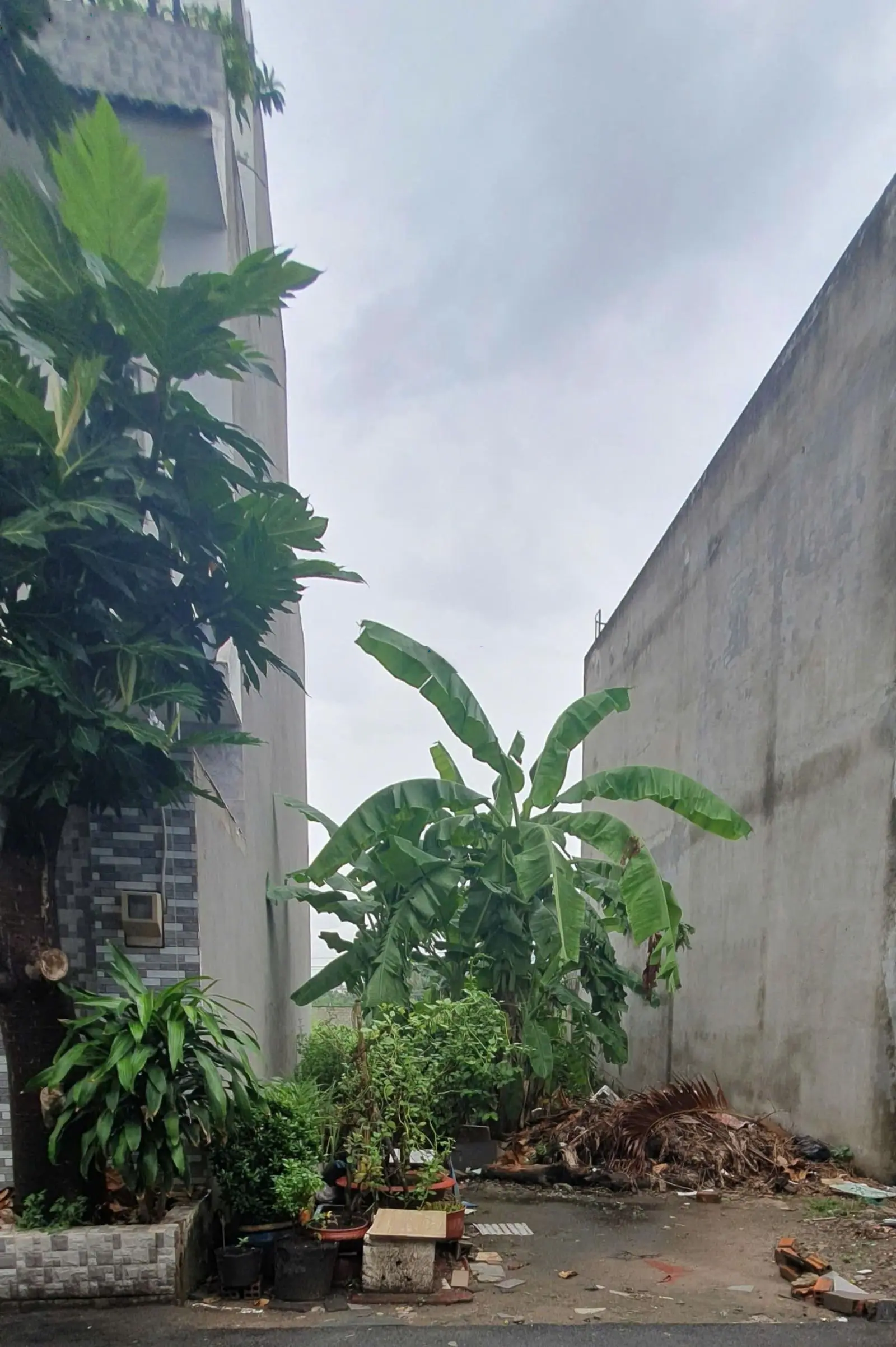 Đất khu dân cư gia đình cần tiền bán đường 261, Phường Tăng Nhơn Phú B, Quận 9, Hồ Chí Min