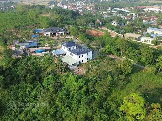 Chủ cần tiền bán gấp lô góc nằm trên trục chính đường nhựa liên xã với đơn giá rẻ nhất khu vực