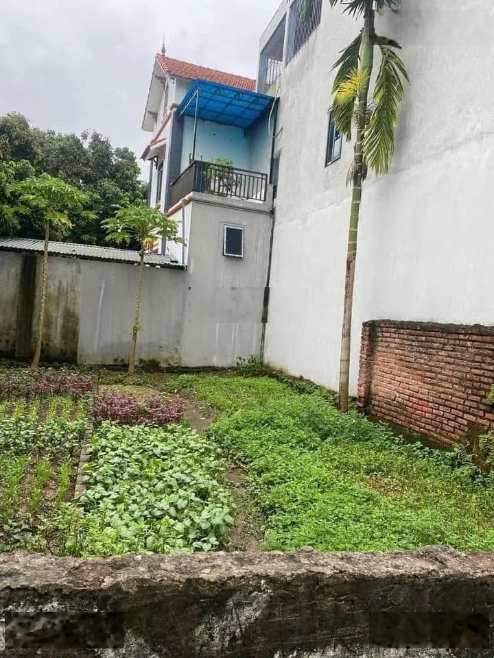 Chính chủ cần bán gấp 62m2 trục chính Tình lam, gần cầu đường thông ngõ oto, đầu tư sinh lời