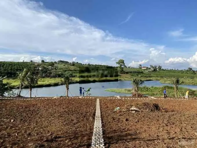 Đất Trung Tâm Di Linh 1000m2 thổ cư sổ Sẵn