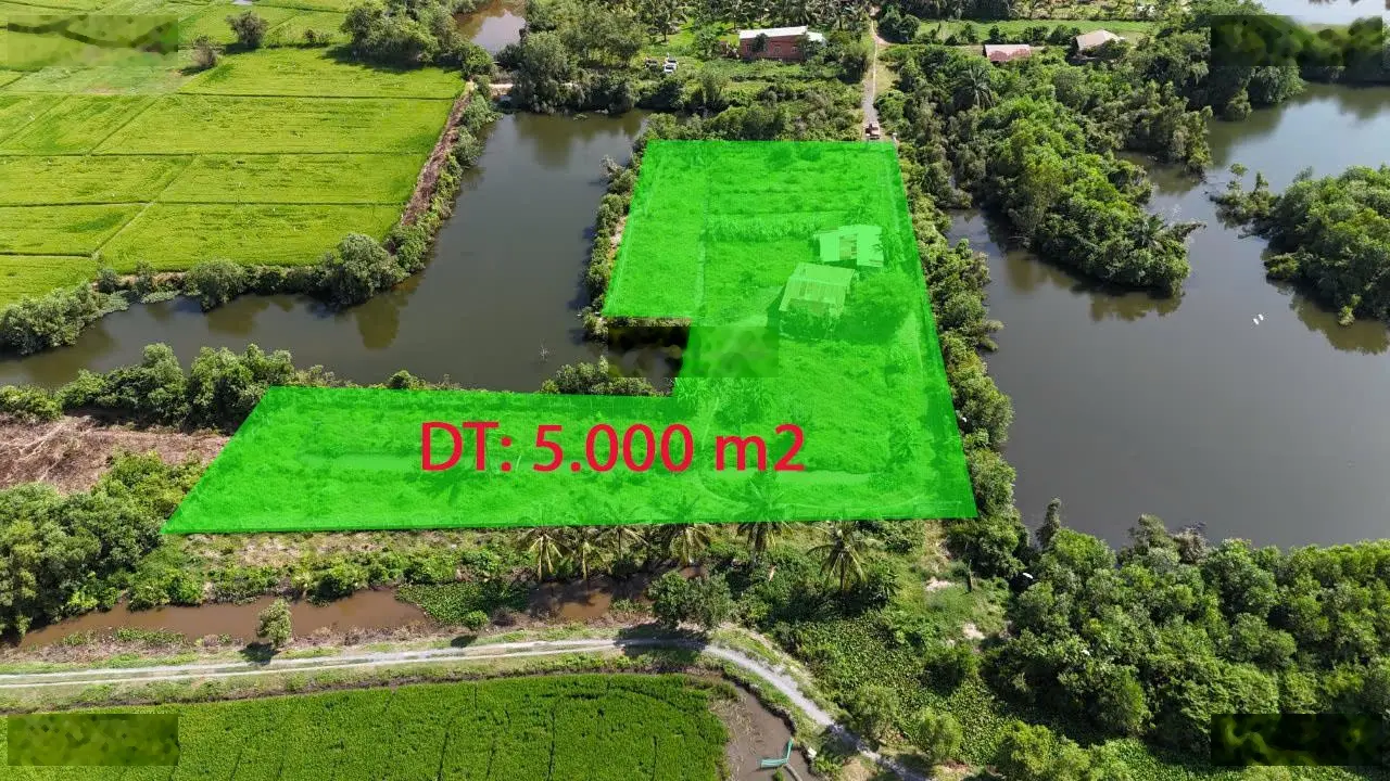 Siêu phẩm siêu rẻ: nhà vườn 5.000 m2...đang trồng ổi, dừa, sầu riêng Đức Hòa, Long An, giá ko tưởng