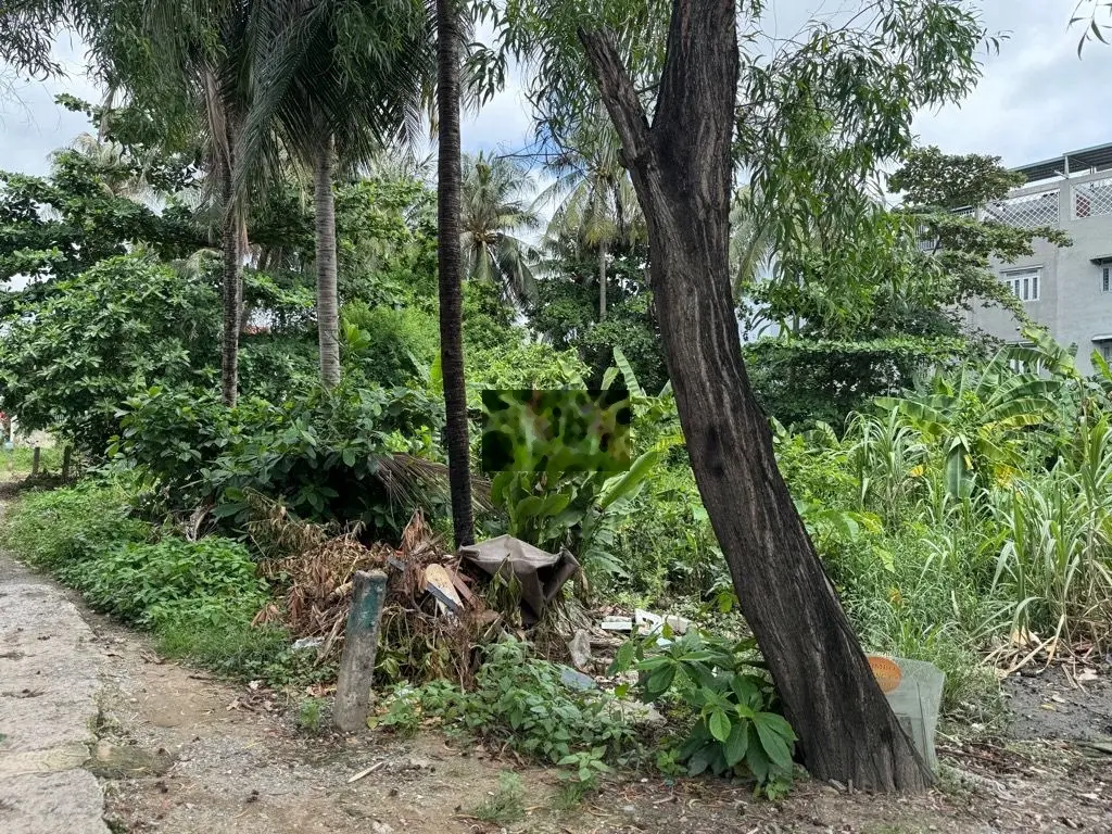 BÁN GẤP LÔ ĐẤT H.XE TẢI, RẺ HƠN ĐẤT QUÊ Đ.SỐ 11 T. THỌ, 1522M, 27 TỶ