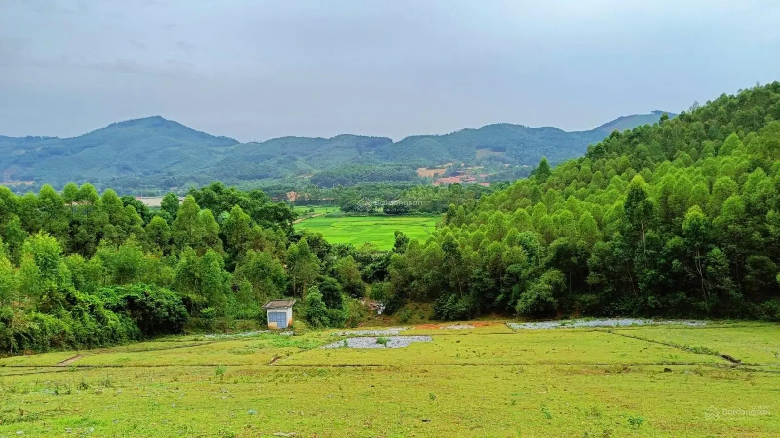 Bán 6000m2 view đồi chè có thổ cư, bám đường lớn, đất phẳng tại Hưng Long, Yên Lập, Phú Thọ