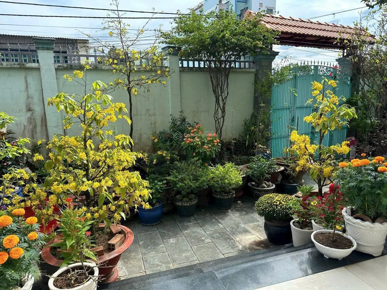 Hạ giá gấp chỉ 10,5tỷ. Bán biệt thự mặt tiền Nguyễn Bá Học, gần TTTM Vincom. P.Tân Mai, 12x19m 221m
