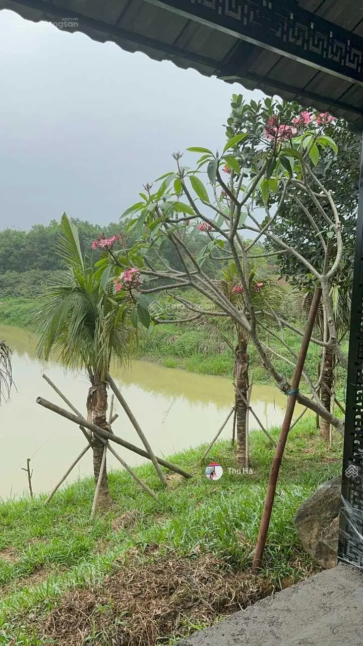 CC bán 4327 m2 đất Trại láng - xã Cổ Đông, 40 m mặt tiền. Đường 2 ô tô tránh nhau