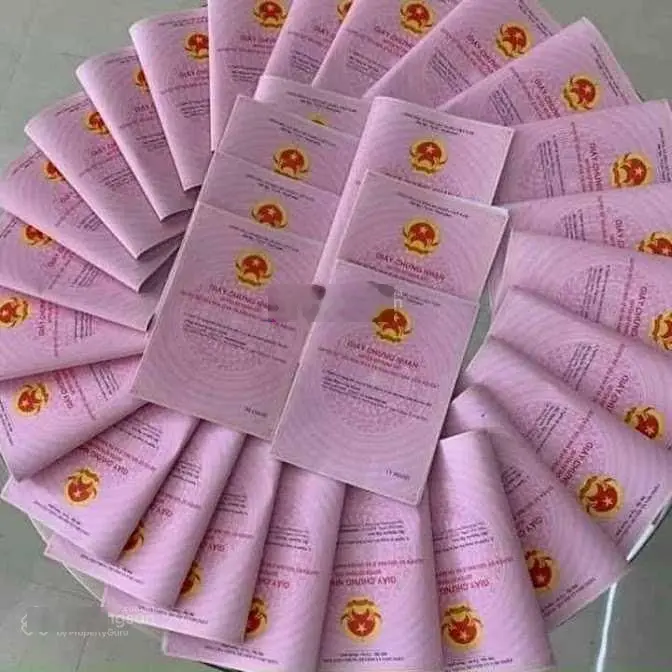 Vinhomes CỔ LOA - Quỹ Căn HOT - Giá Đầu Tư Không Chênh.