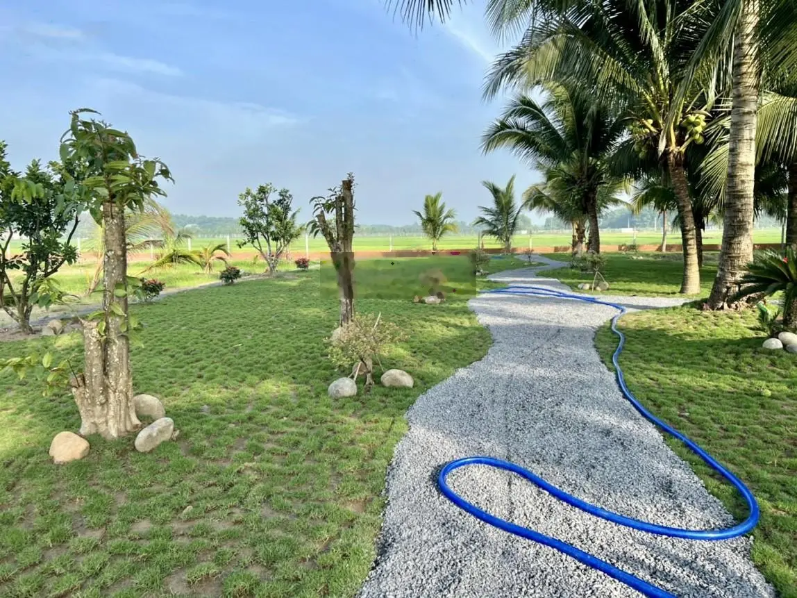 Nhà Vườn Nghỉ Dưỡng 6.000m2 gần UBND Trung Lập Hạ chỉ 1,85tr/m2