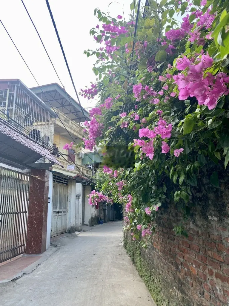 BÁN NHANH 54M2 ĐẤT PHÚC LỢI, ÔTÔ 7 CHỖ VÀO THOẢI MÁI CHỈ 4.9 TỶ