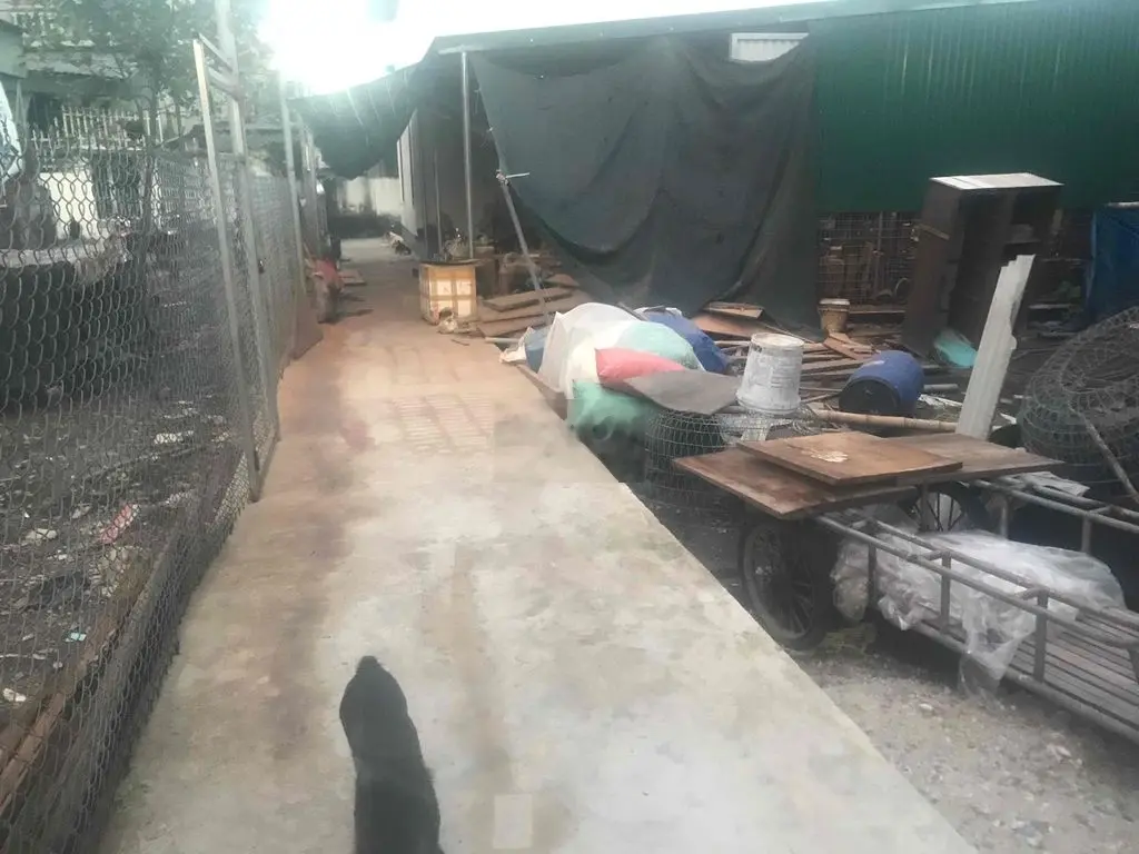 bán đất thổ cư giáp tdc cánh mẹn tiền phong tp thái bình