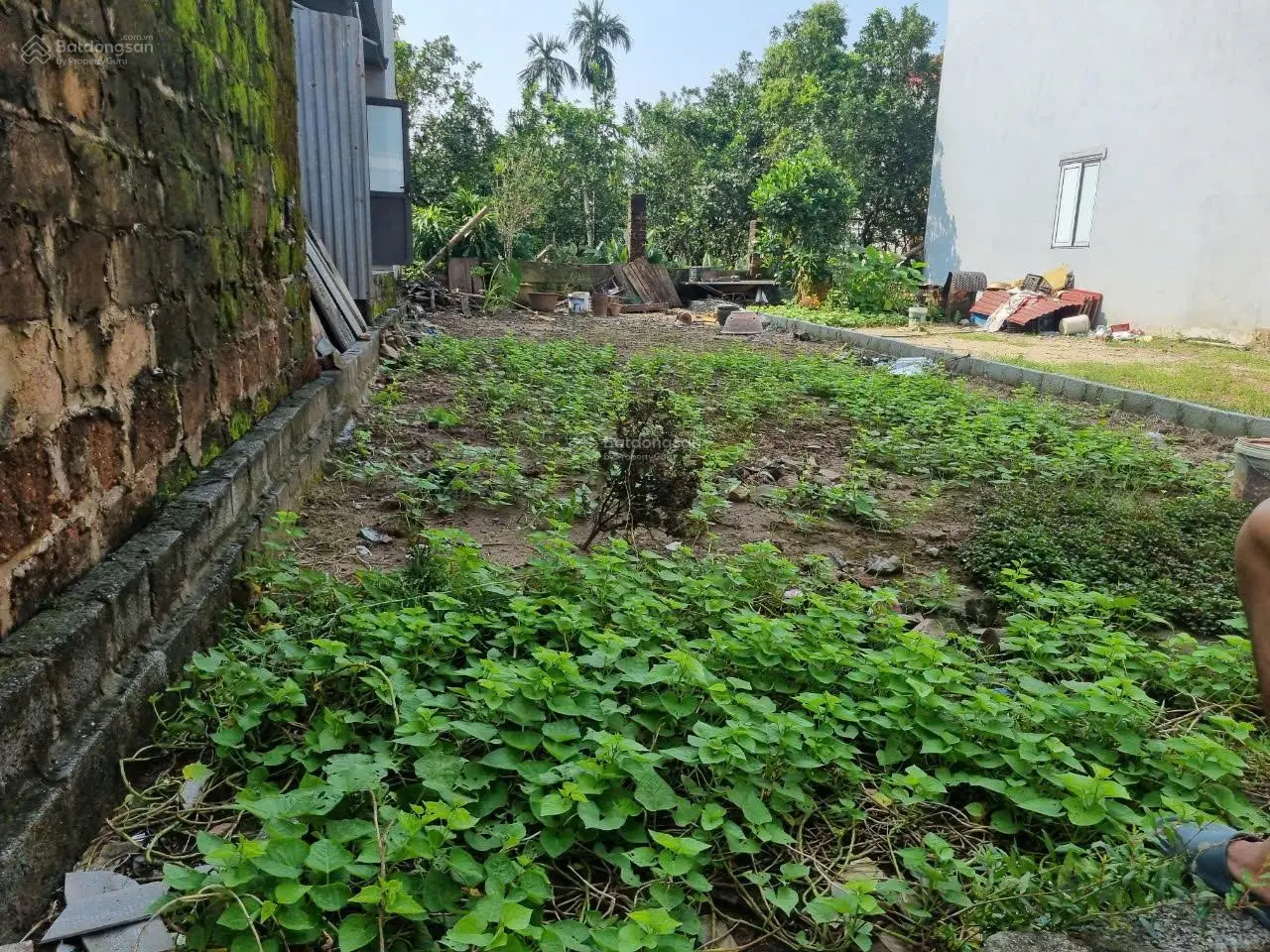 Cần bán gấp lô đất siêu đẹp tại Văn Giang, diện tích 111m2 giá siêu hợp lý, mời LH 0941195885