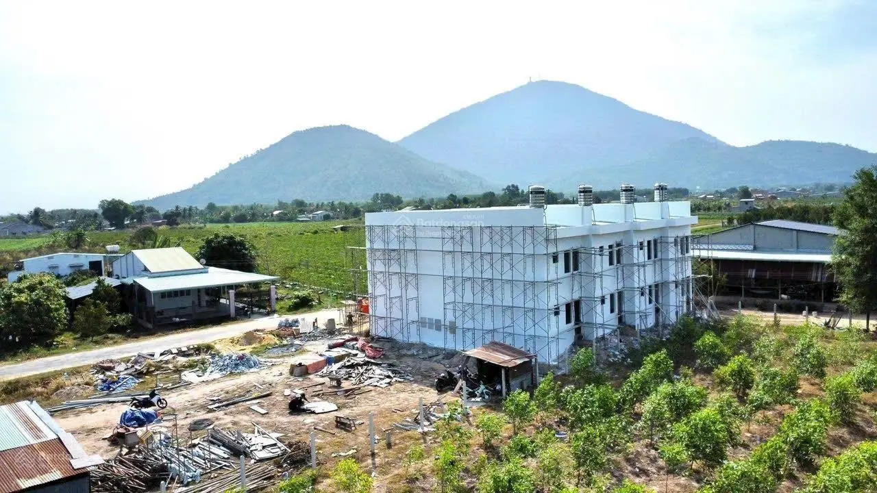 Cần bán đất giá 480 triệu VND tại Xã Thạnh Tân, Tây Ninh