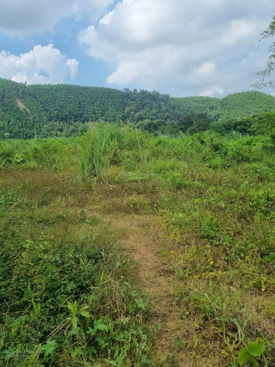 Bán đất view cánh đồng bám suối 3500m2, giá 2,x tỷ