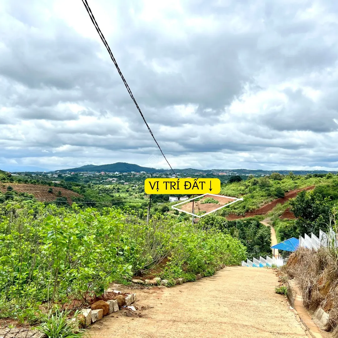 Chính chủ bán đất Lâm Hà view Đồi Thông, 10x44.8m, vị trí trung tâm Nam Ban, cách Đà Lạt 7km