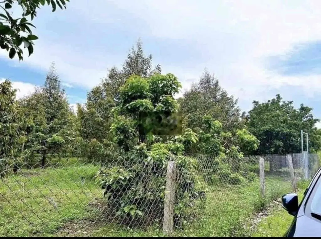 Chị cần bán vườn 2 sào 2 dân cư đông phía sau còn có suối