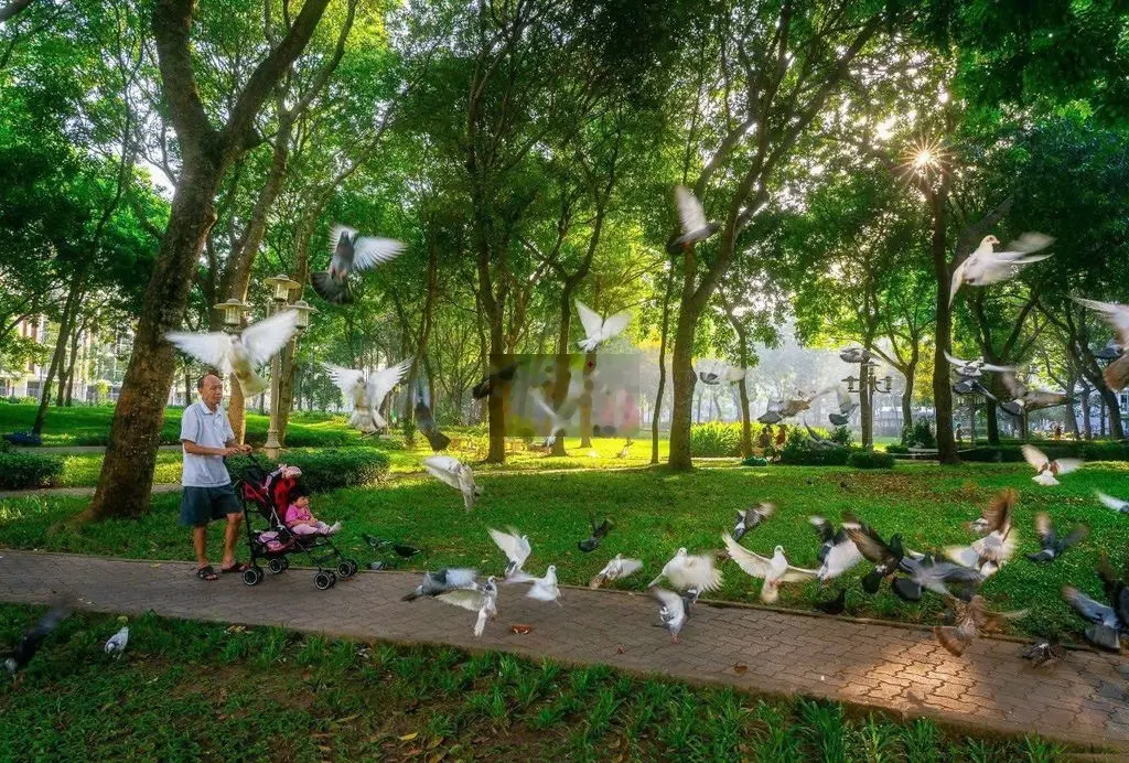 BÁN NHANH CĂN HỘ CELADON TÂN PHÚ GIÁ *** THỊ TRƯỜNG, VIEW NỘI KHU