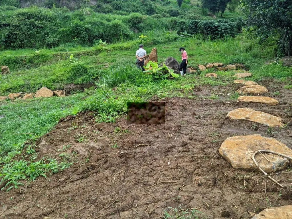 ĐẤT VIEW TRUNG TÂM THỊ TRẤN LỘC THẮNG - BẢO LÂM - BẢO LỘC - LÂM ĐỒNG