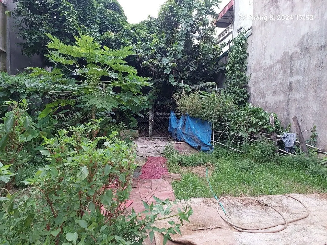 Đất - lô góc 251m2 - vị trí 2 mặt ngõ oto - sổ đỏ