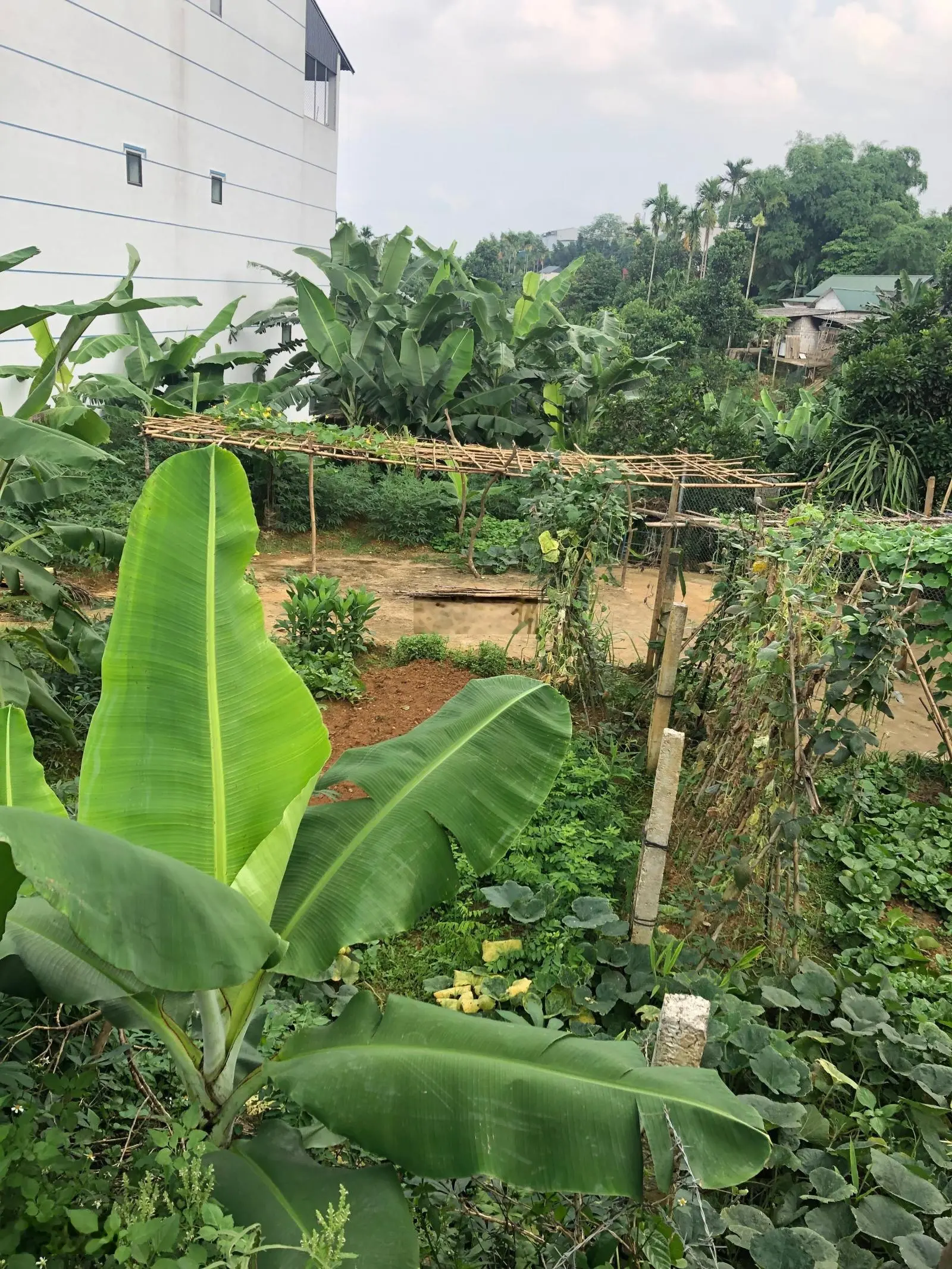 Bán đất tại Bãi Dài, Tiến Xuân, Thạch Thất. Diện tích 5000m2, giá thương lượng