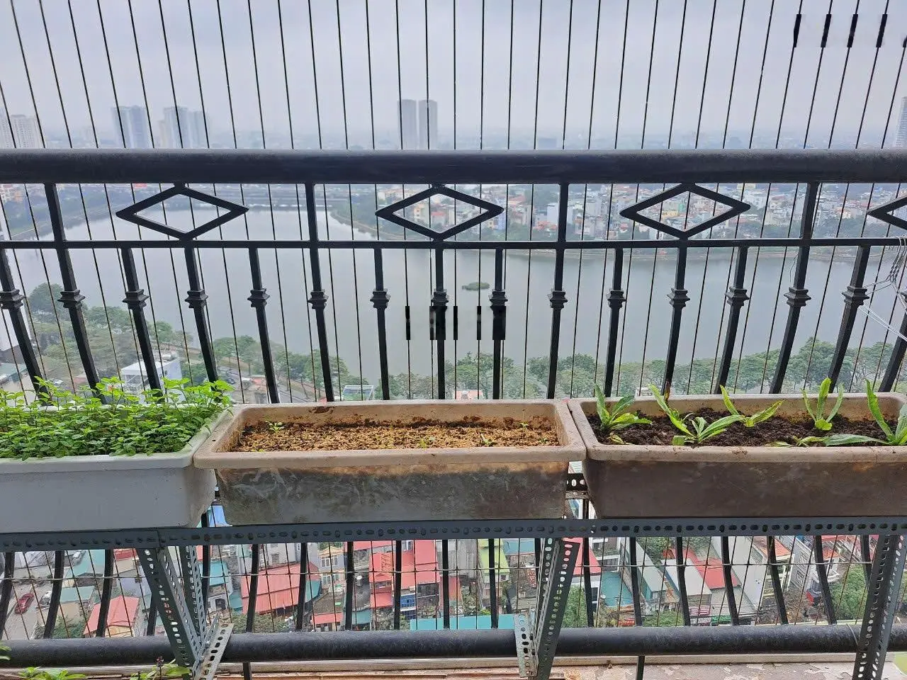 Danh sách các căn hộ 2PN-3PN tầng trung view thoáng - GREEN PARK chỉ từ 54tr/m sổ đỏ vĩnh viễn!!