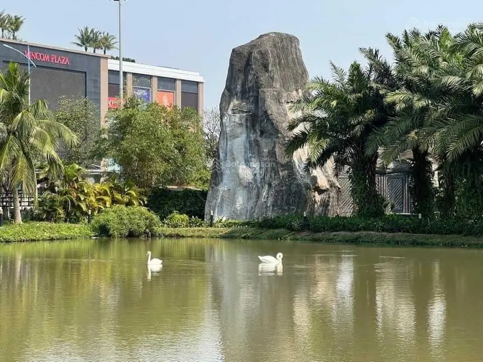 Chuyển nhượng. Đơn lập Hoa Lan 1-02, ĐN. View Almaz, công viên. 260m2. Nội thất đẹp, vị trí đắc địa