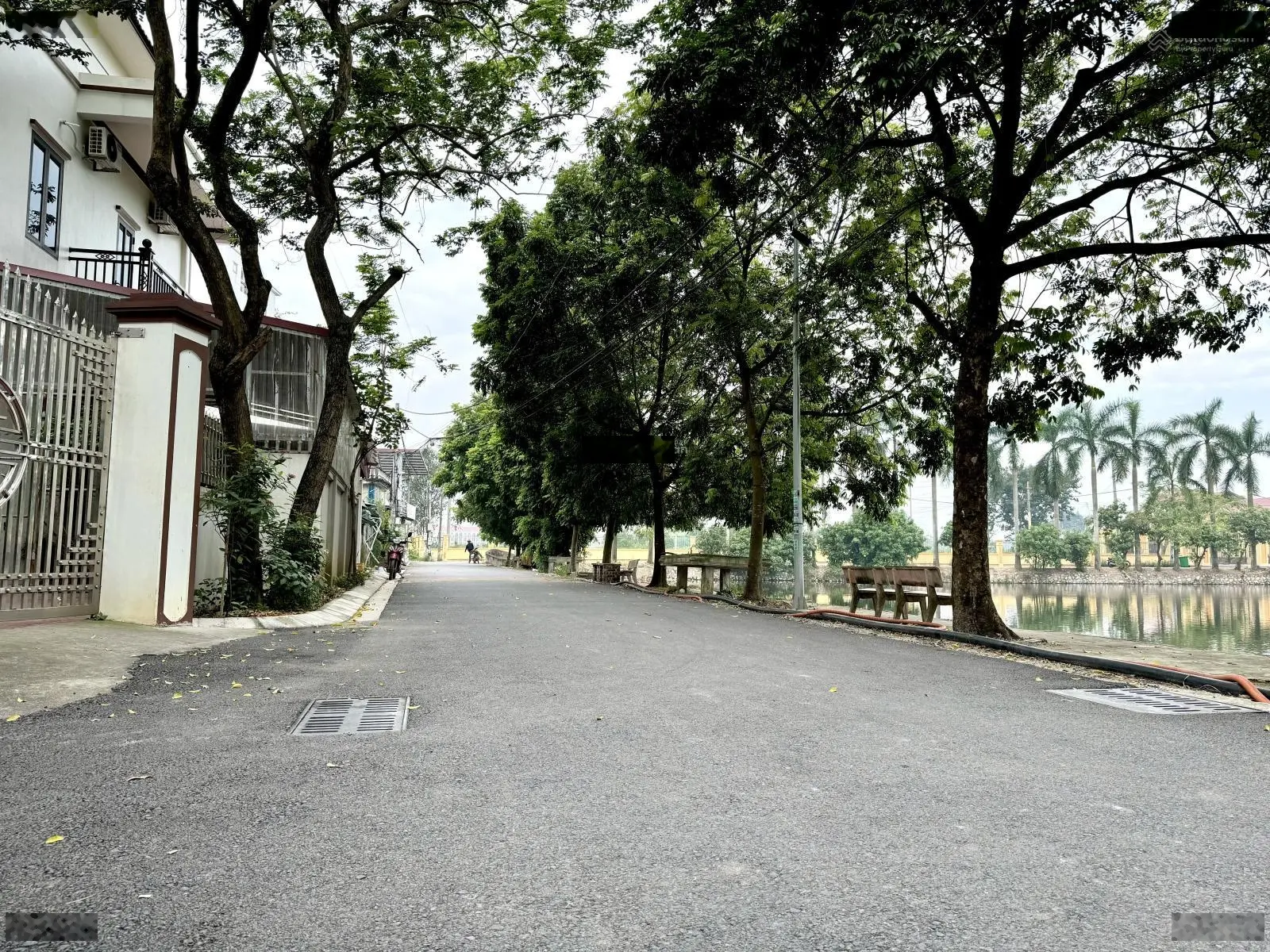 Bán Đất 286m2 Tam Kỳ, Nghĩa Trụ, Văn Giang, tiện ích bao vây đẹp không tì vết, thanh khoản nhanh