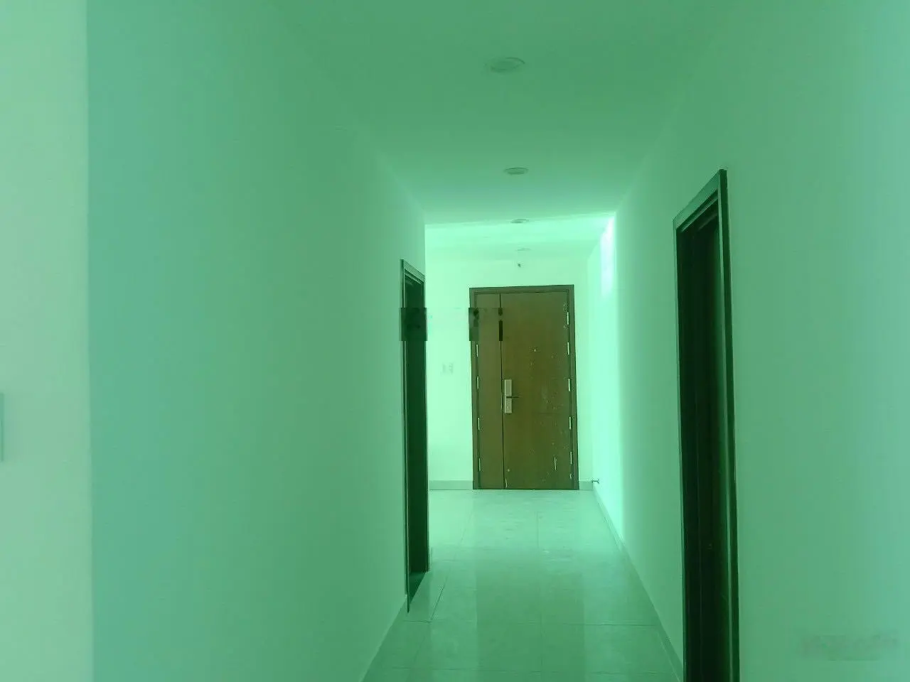 Bán lỗ 1 tỷ Penthouse Q6 210m2, giá chỉ 33tr/m2