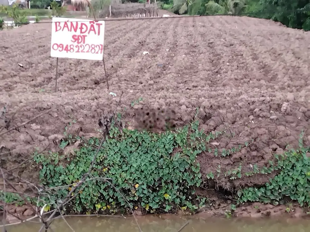 Bán Đất