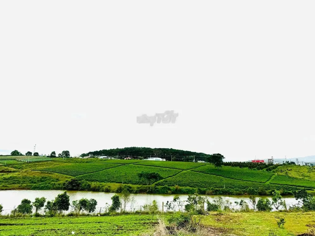Đất Nền view hồ đồi chè sổ sẵn