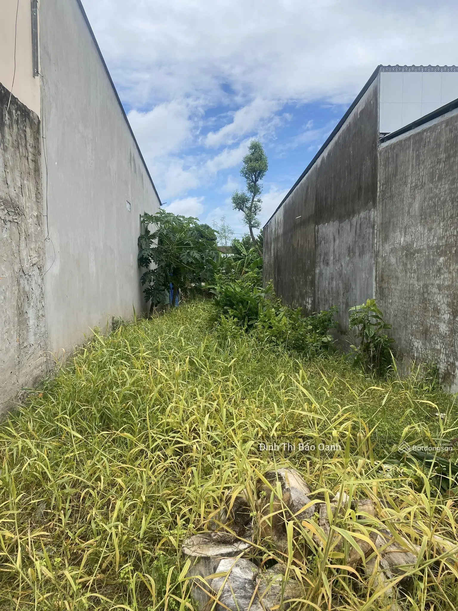 Cần bán đất Đ.Nguyễn An Ninh, Cần Giuộc, Long An, 120m2/550tr gần chợ Cần Giuộc, SHR, thổ cư 100%