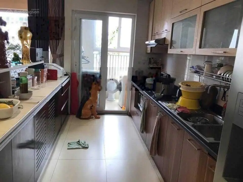 Chung cư Hapulico Vũ Trọng Phụng 5.5tỷ 98m2 2 ngủ, full nội thất, sổ đỏ trao tay Thanh Xuân hà Nội
