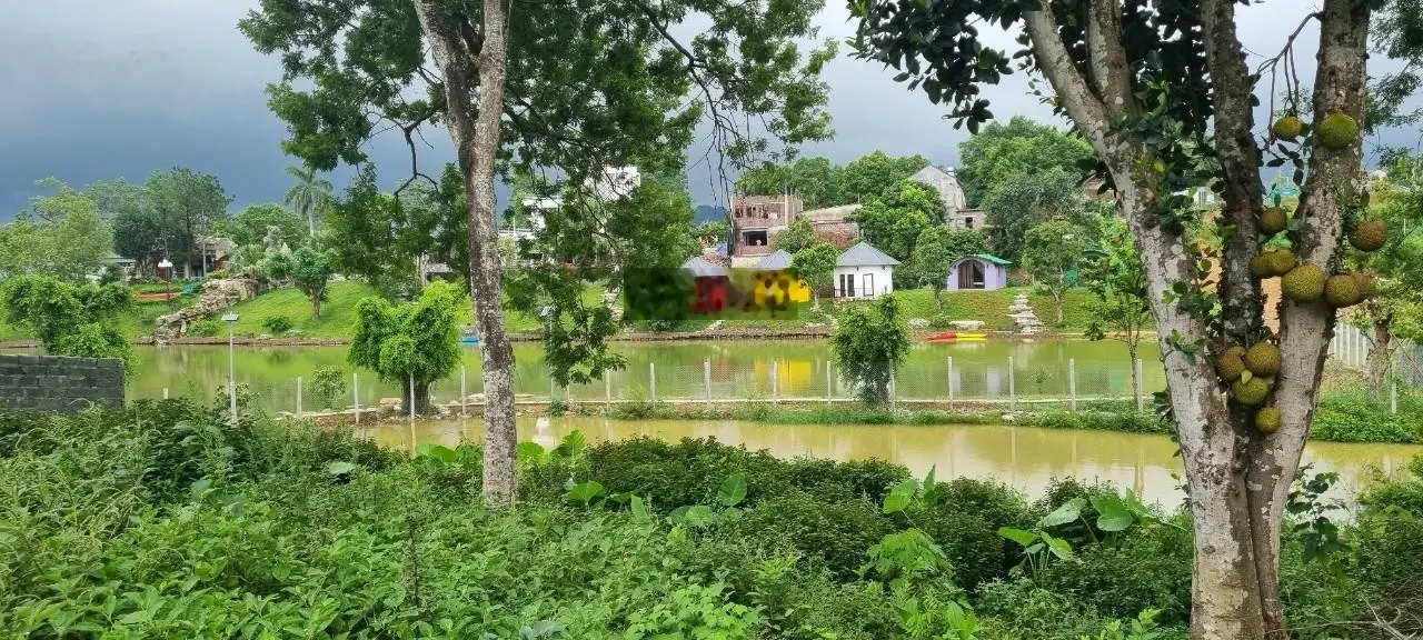 Đất nghỉ dưỡng view hồ Đồng Chanh - Lương Sơn - Hoà Bình 1000m2 3,999 tỷ