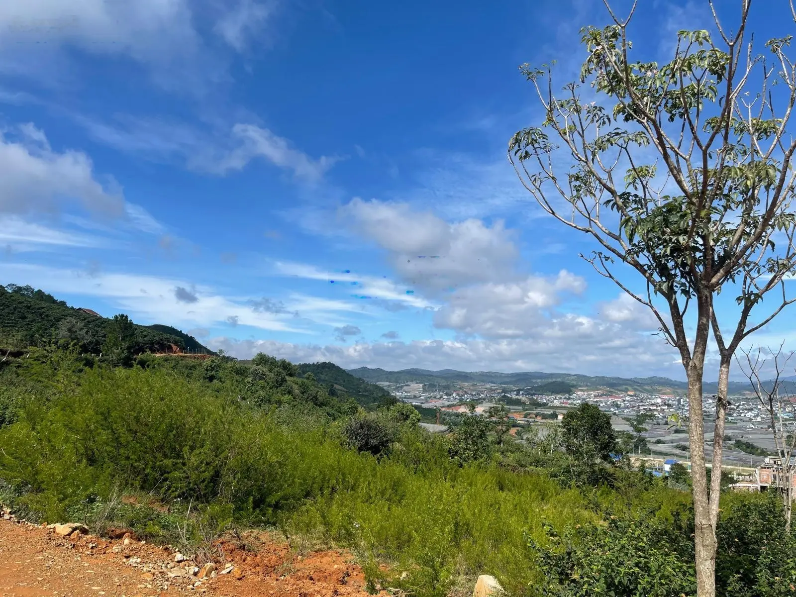 Hoa hậu LangbiangTown, lô góc 362,5m2 (ngang 20m), trên đỉnh, view trọn rừng thông và TT Lạc Dương