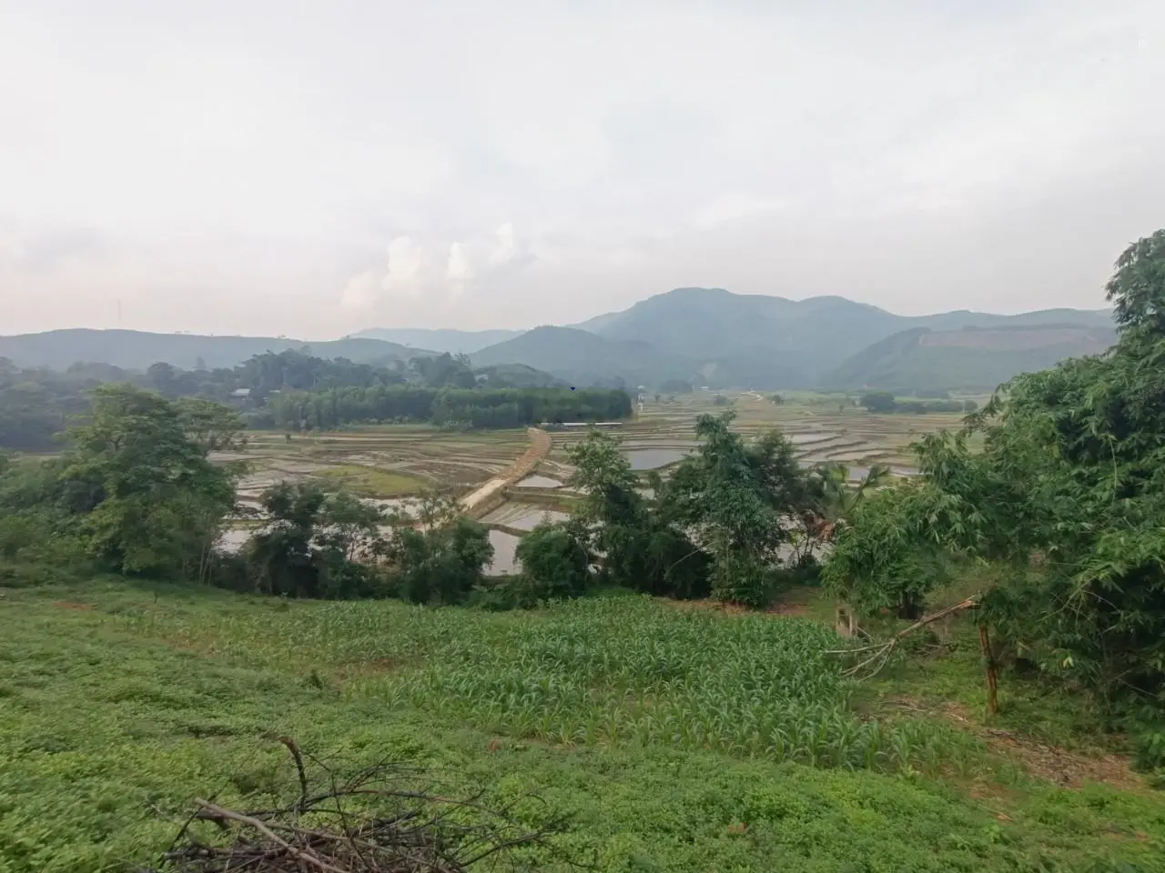 Bán đất tại Kim Sơn, Kim Bôi, Hòa Bình. Diện tích 7000m2, giá thương lượng