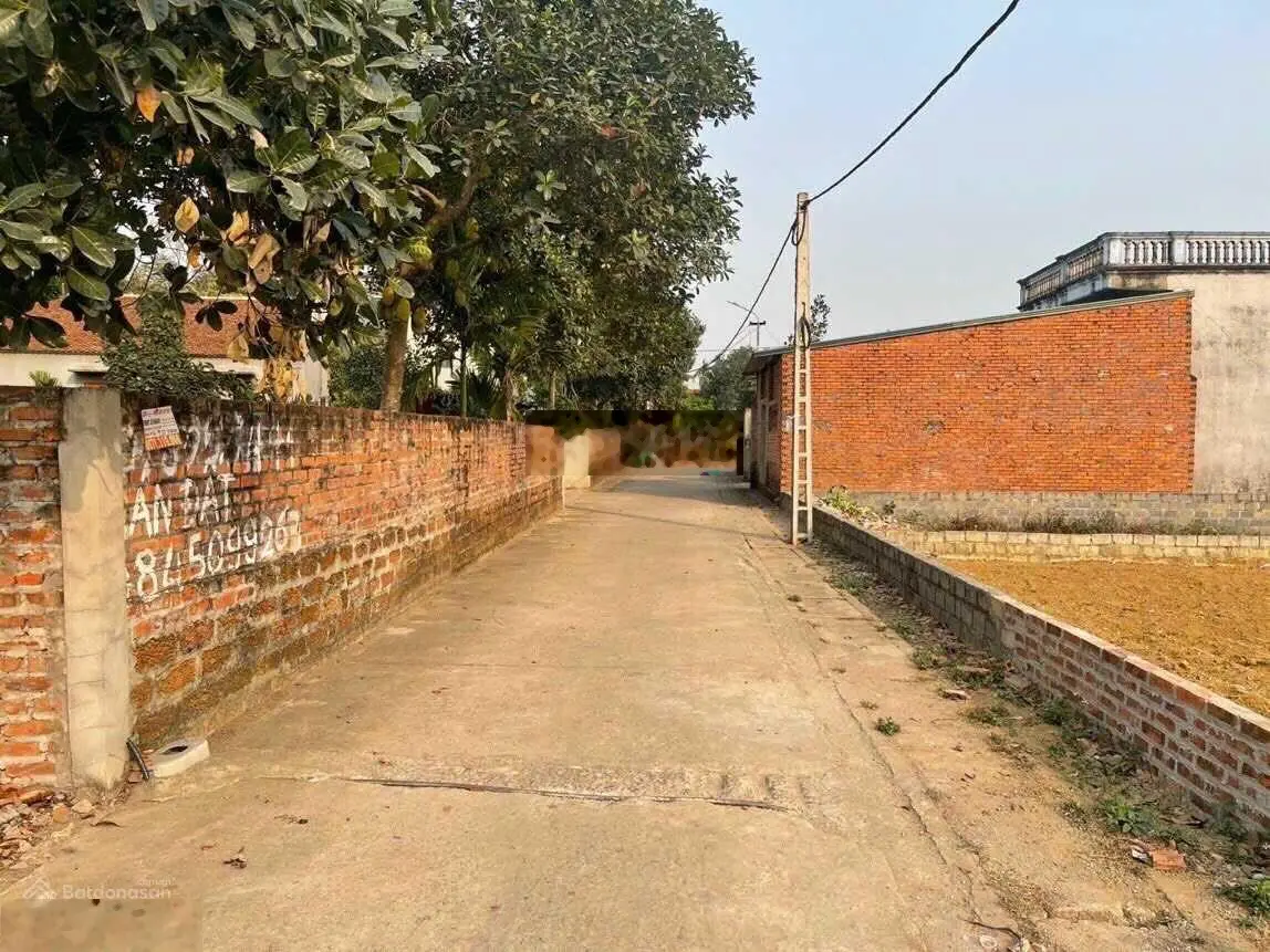 Bán lô góc 150,6m2 tại thôn Miễu - Tiến Xuân