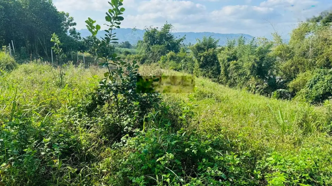 Bán lô đất thoáng, view cánh đồng tại Cao Phong, Hoà Bình. Diện tích 2000m2