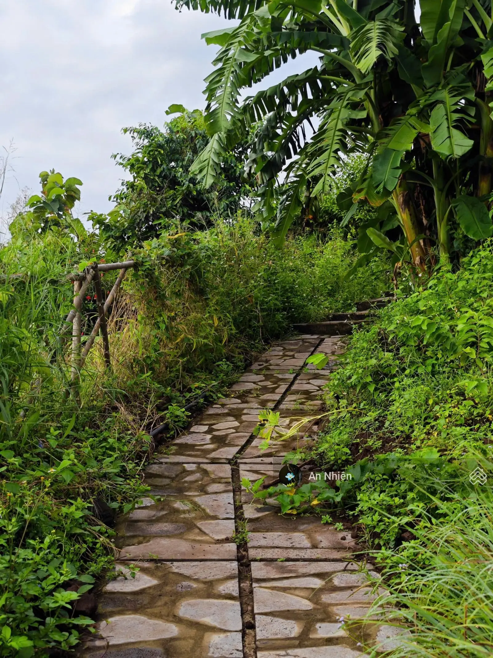 Siêu Phẩm Đất Vườn 3200m View hồ Trị An - Cơ hội hiếm có, sở hữu đầu tư an tâm sinh lợi.