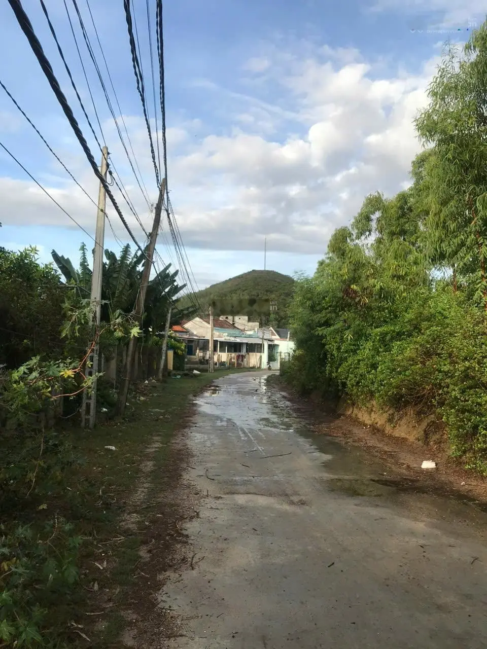 Bán đất cây lâu năm - Ninh Hải, Ninh Hòa