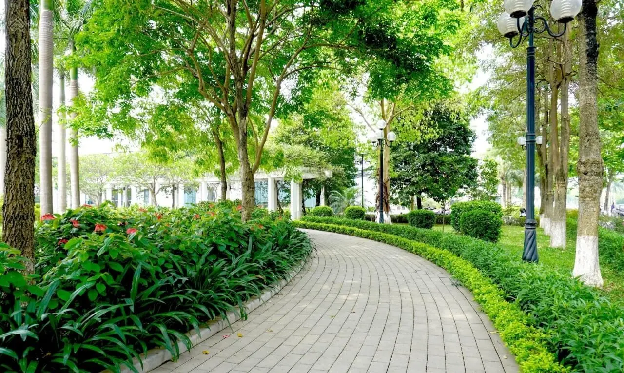 Duy nhất 1 căn liền kề có hầm chào bán