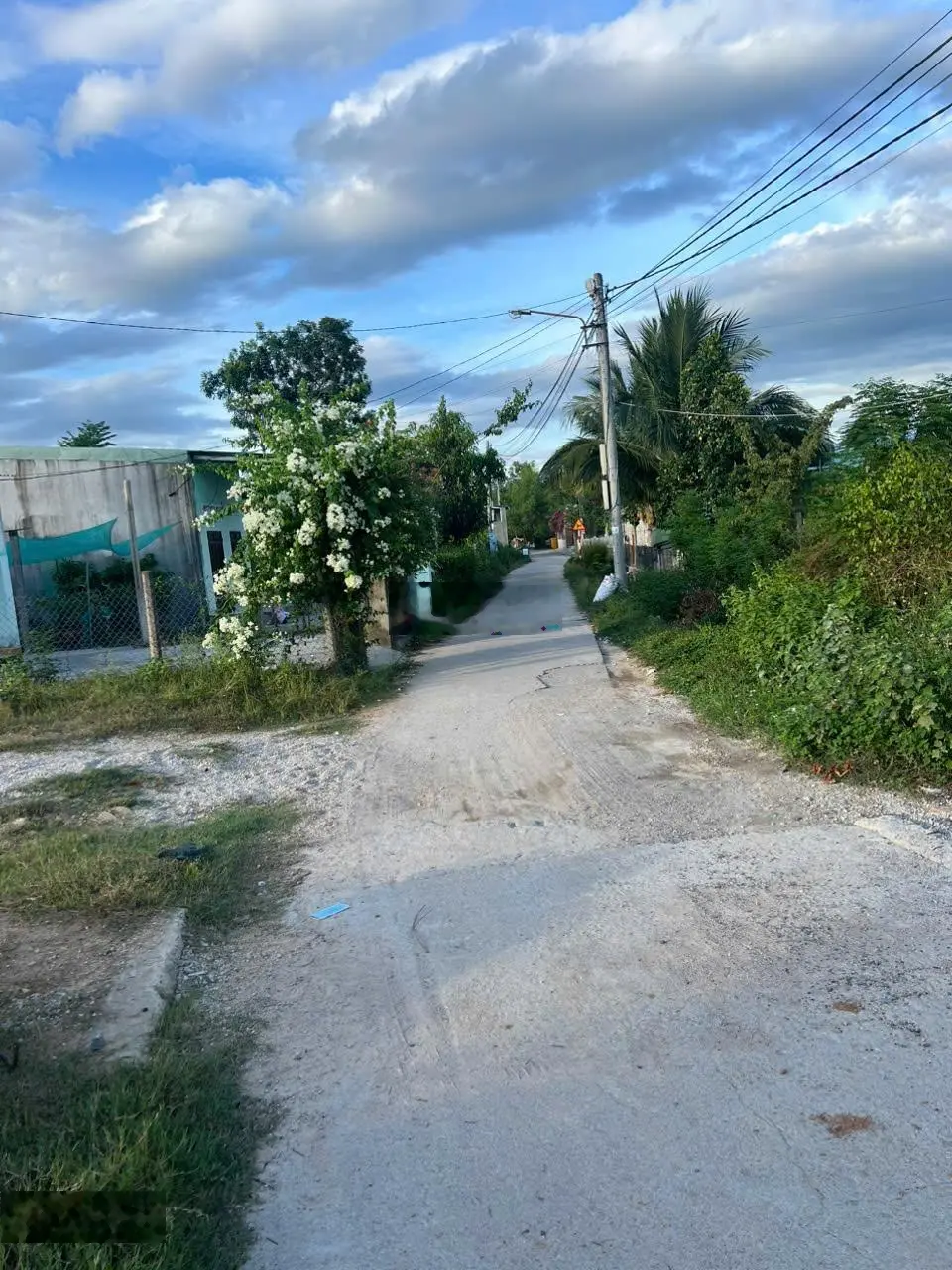 Bán hơn 3.5ha đất rừng thuộc TP Quy Nhơn, Bình Định