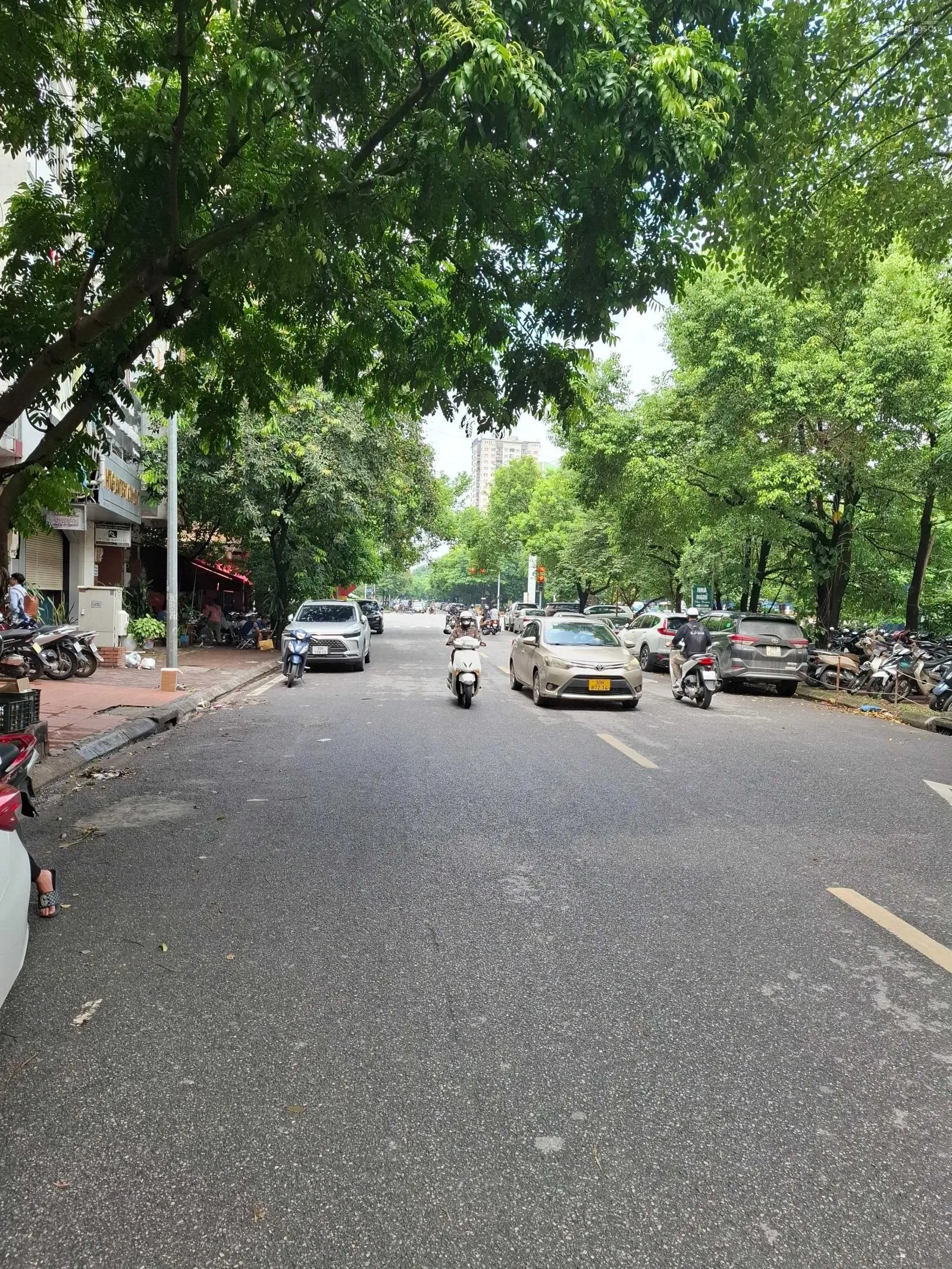Bán gấp nhà phố Nguyễn Chánh, Q. Cầu Giấy, giá đầu tư, 172m2 13.5m MT chỉ 3x tỷ