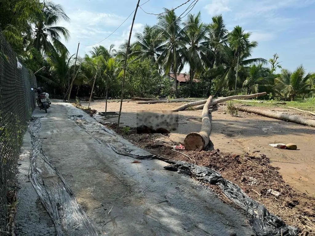 4 nền Mỹ Phong giá chỉ 3xx